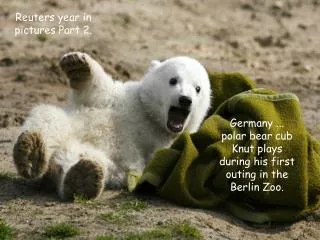 Germany ... polar bear cub Knut plays during his first outing in the Berlin Zoo.