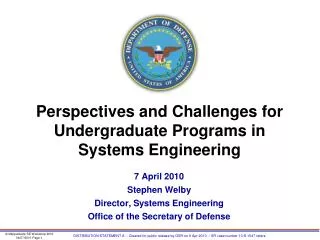 Perspectives and Challenges for Undergraduate Programs in Systems Engineering