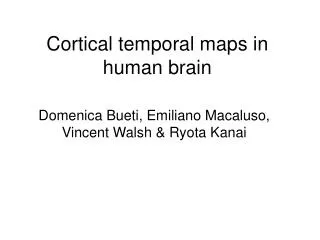 Cortical temporal maps in human brain