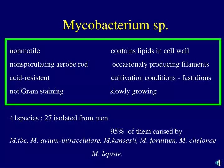 mycobacterium sp