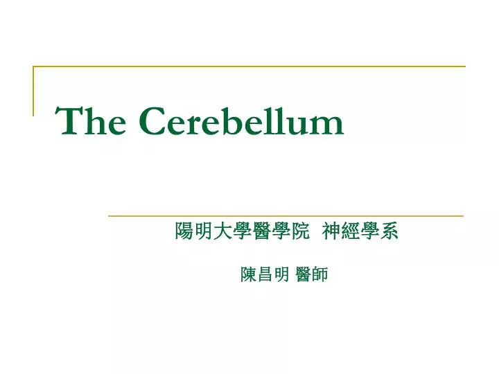 the cerebellum
