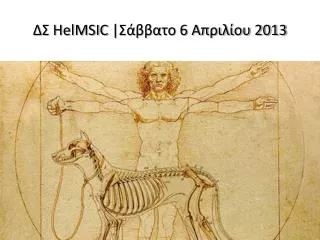 helmsic 6 2013