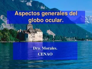 aspectos generales del globo ocular