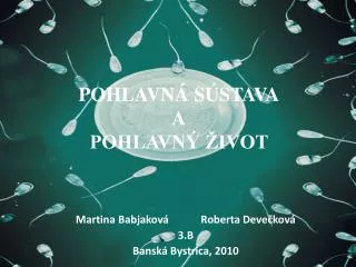 pohlavn s stava a pohlavn ivot