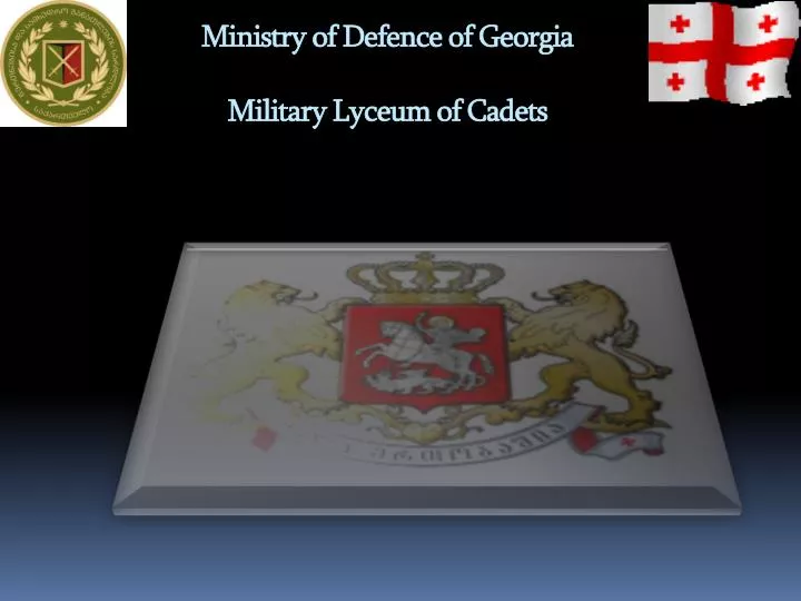 ministry of defence of georgia military lyceum of cadets