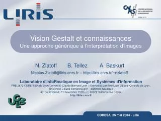 vision gestalt et connaissances une approche g n rique l interpr tation d images