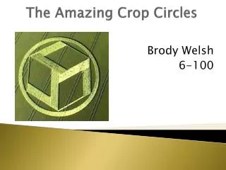 The Amazing Crop Circles