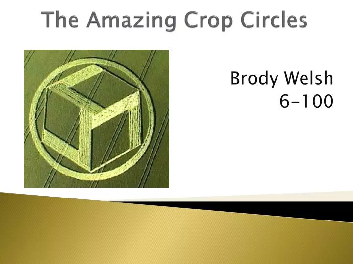 the amazing crop circles