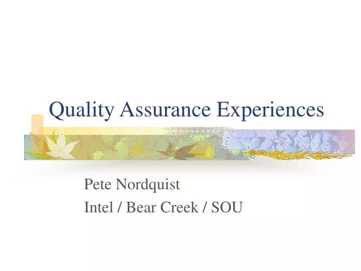quality assurance experiences