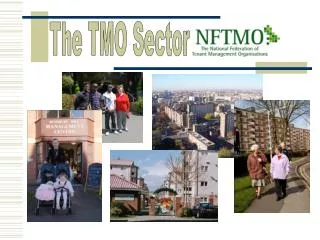 The TMO Sector