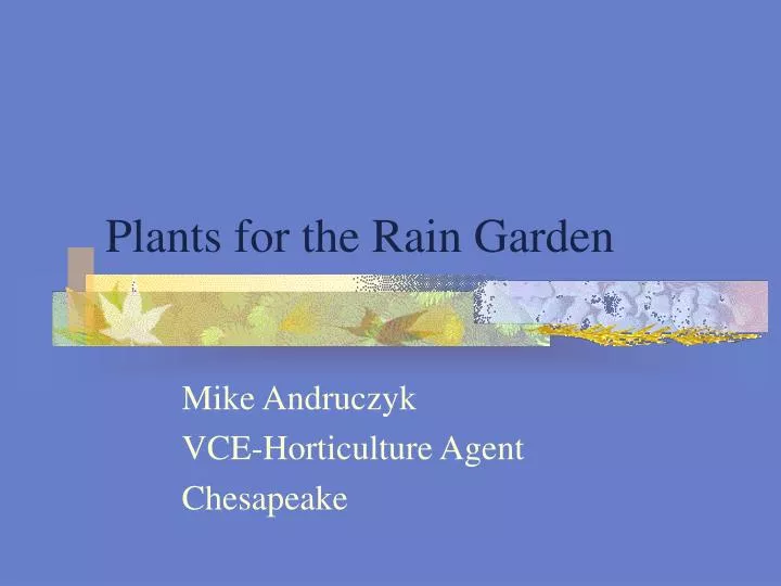 plants for the rain garden