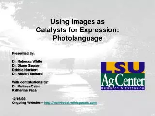 Using Images as Catalysts for Expression: Photolanguage