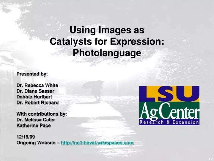 using images as catalysts for expression photolanguage