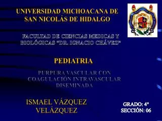 universidad michoacana de san nicol s de hidalgo