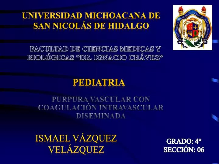 universidad michoacana de san nicol s de hidalgo