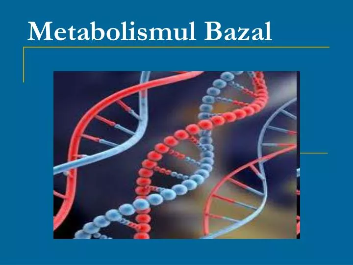 metabolismul bazal