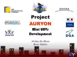 Mini UAVs Development