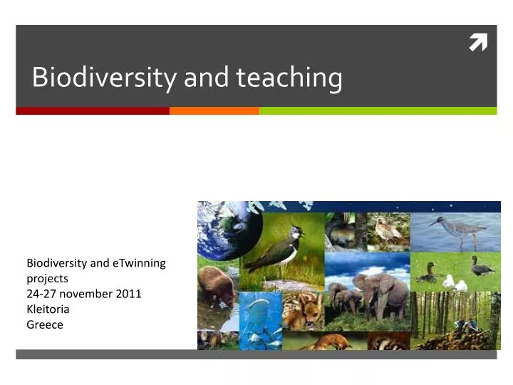 biodiversity and teaching