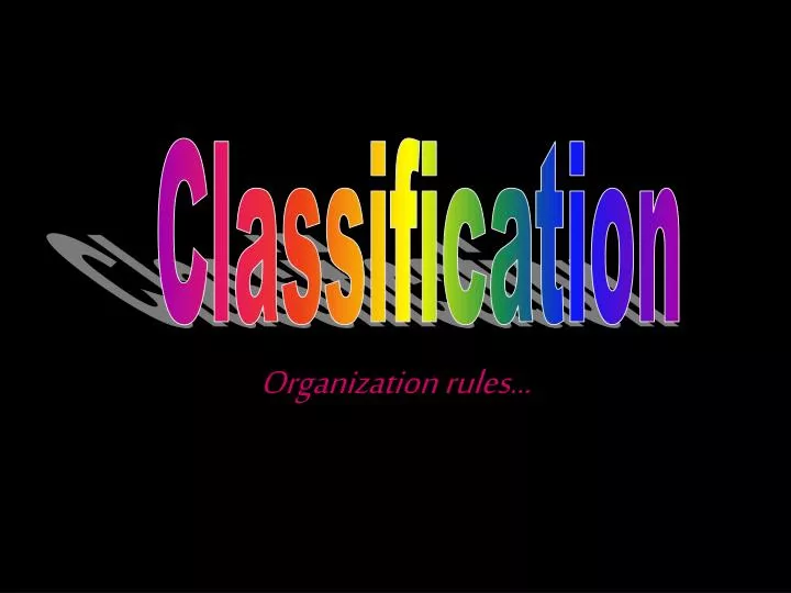 organization rules