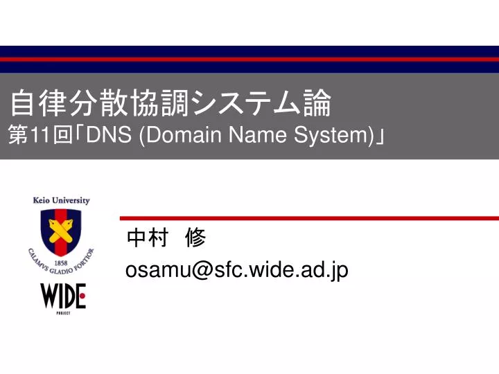 11 dns domain name system