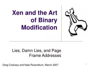 Xen and the Art of Binary Modification
