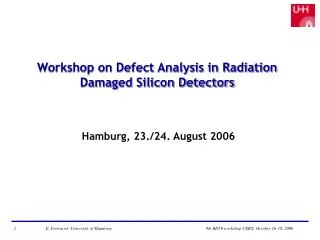 Workshop on Defect Analysis in Radiation Damaged Silicon Detectors