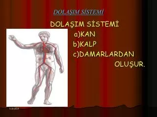 dola im s stem