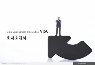 Viable Vision Solution &amp; Consulting VISC 회사소개서