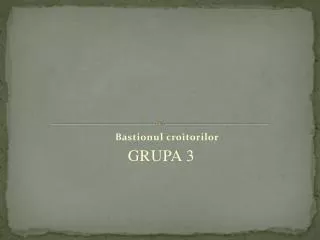 bastionul croitorilor grupa 3