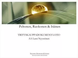 peltonen ruokonen it inen