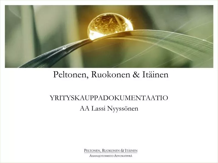 peltonen ruokonen it inen