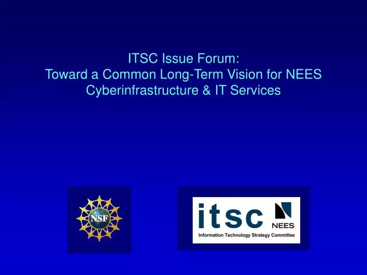 itsc issue forum toward a common long term vision for nees cyberinfrastructure it services