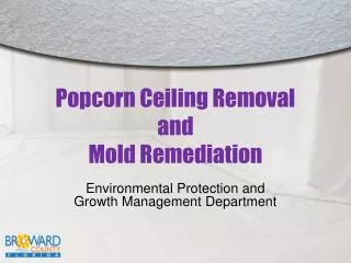 Popcorn Ceiling Removal and Mold Remediation