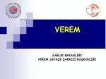 VEREM - slide 1