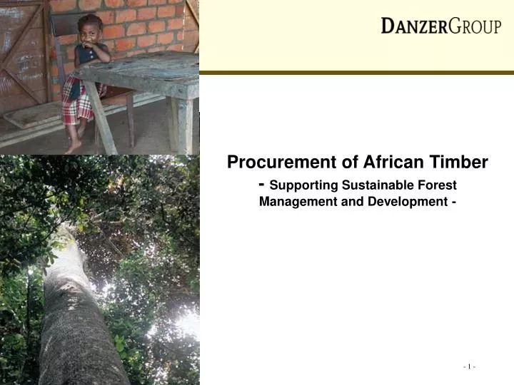 procurement of african timber supporting sustainable forest management and development