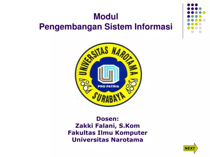 modul pengembangan sistem informasi