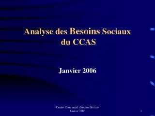 analyse des besoins sociaux du ccas