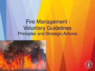 Fire Management - Voluntary Guidelines Principles and Strategic Actions