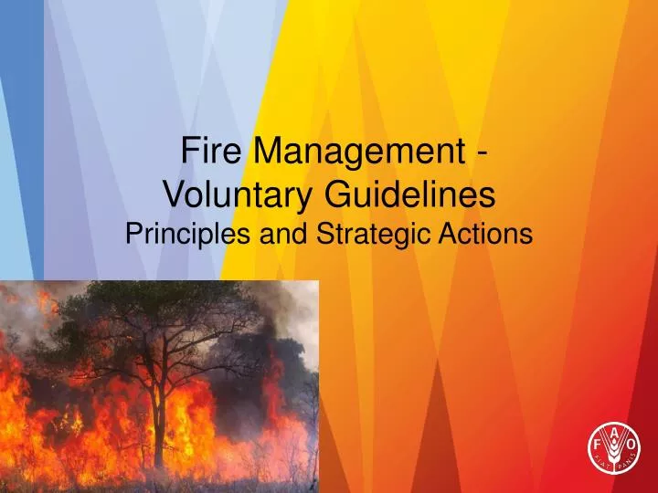 fire management voluntary guidelines principles and strategic actions