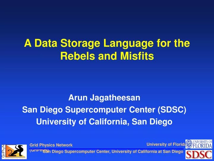 a data storage language for the rebels and misfits