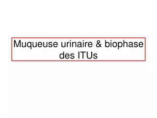 muqueuse urinaire biophase des itus