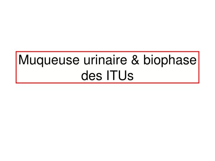 muqueuse urinaire biophase des itus