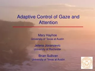 Adaptive Control of Gaze and Attention