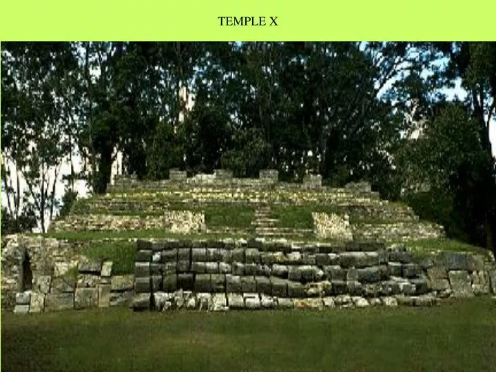 temple x