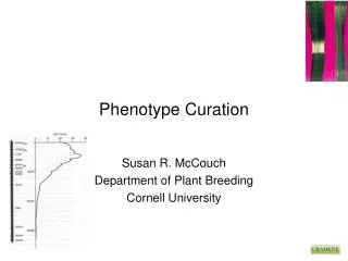 Phenotype Curation