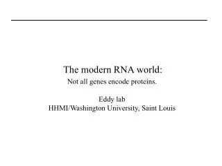 The modern RNA world: