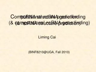 C omputational ncRNA gene finding (&amp; nc RNA structure prediction)