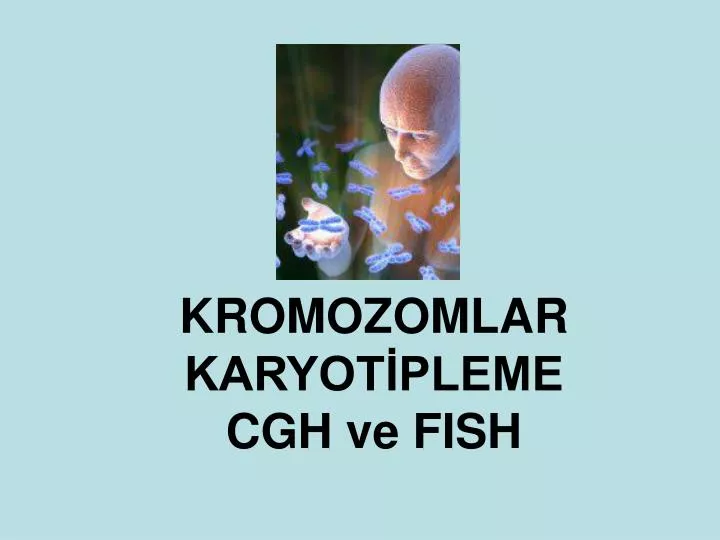 kromozomlar karyot pleme cgh ve fish