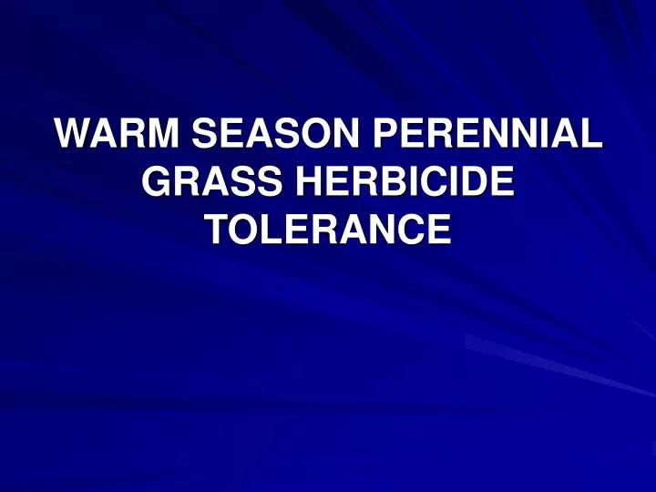 warm season perennial grass herbicide tolerance