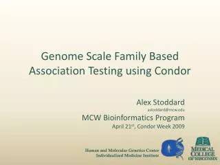 Genome Scale Family Based Association Testing using Condor